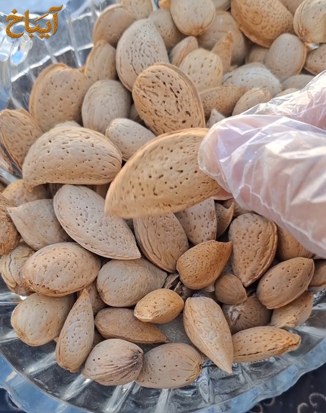 بادام درختی سنگی با مغز تازه و خوش طعم