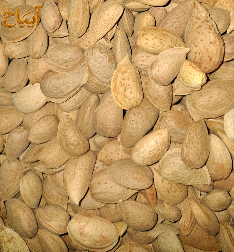 بادام درختی سنگی با مغز تازه و خوش طعم