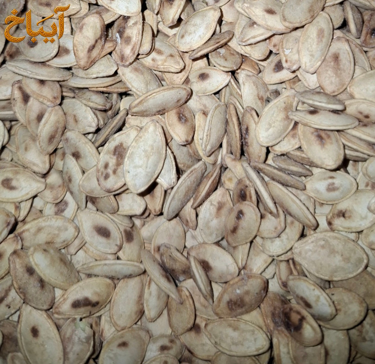 تخمه کدو برشته نمکی سایز متوسط با مغز تازه و شور
