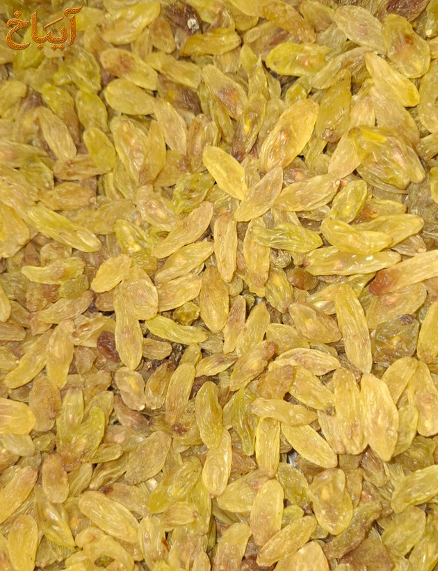 کشمش سبز آیباخ تازه و خوش طعم