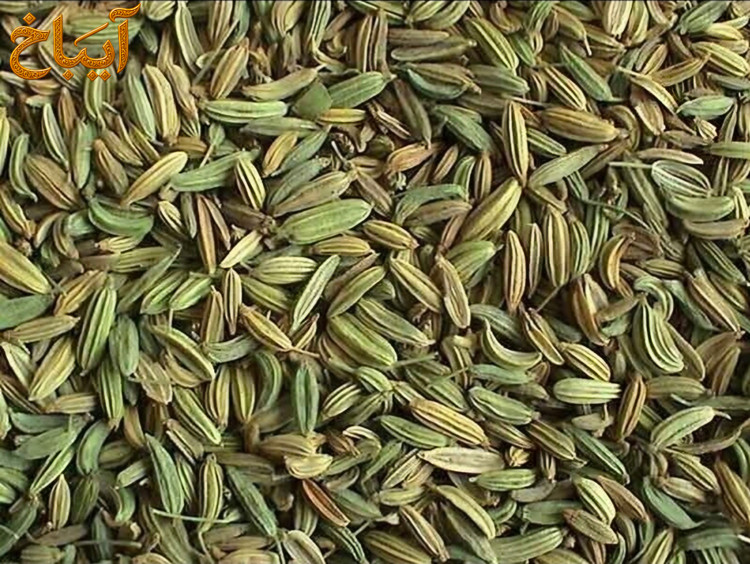 زیره سبز کرمان آیباخ عطر گرم برای آشپزی اصیل
