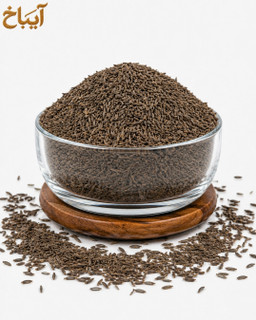 زیره سیاه کرمان آیباخ